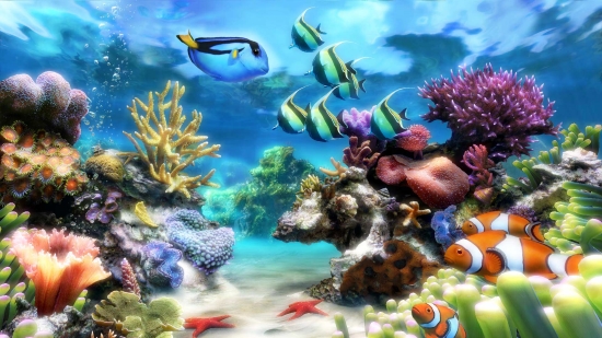 marine aquarium 3d screensaver free download