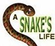 A Snakes Life last ned