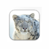 Apple Mac OS X Snow Leopard for Mac last ned
